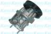 KAVO PARTS HW-1062 Water Pump